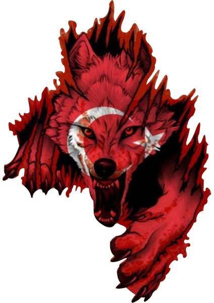Ay Yıldız ve Kurt - Bozkurt - Börü - Gökbörü -Araba Oto Motosiklet Karavan Sticker 02512