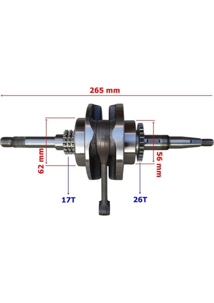 Rks Spontini 125 Krank Komple fiyatları