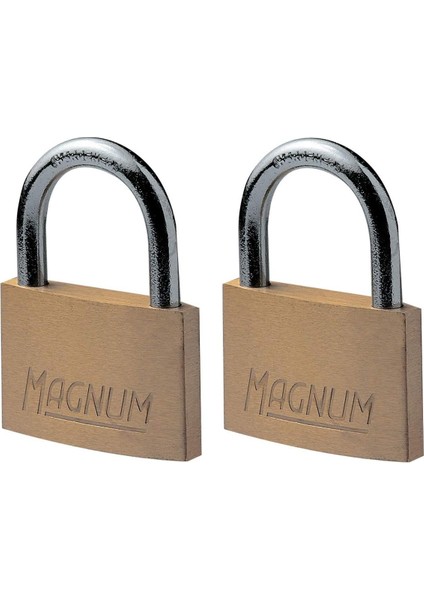 CAD40T 2 Adet Masif Pirinçten Yapılmış Anahtarlı Büyük Asma Kilit Paketi, Rengi, 5,4 x 4 x 1 cm