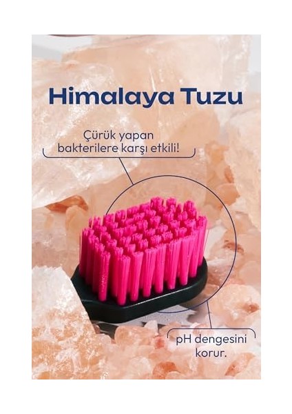 Probident Diş Fırçası Himalaya - Siyah modelleri