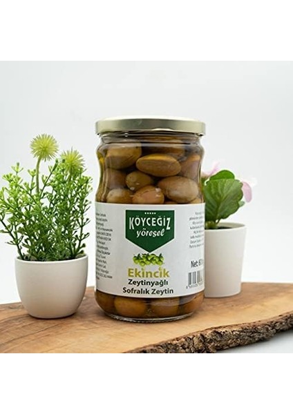 Köyceğiz Yöresel Ekincik Sofralık Zeytin 600 G fiyatları