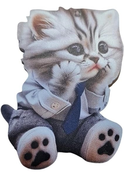 Amahtarlık ve Araba Dikiz Ayna Süsü (Sevimli) fırsatları