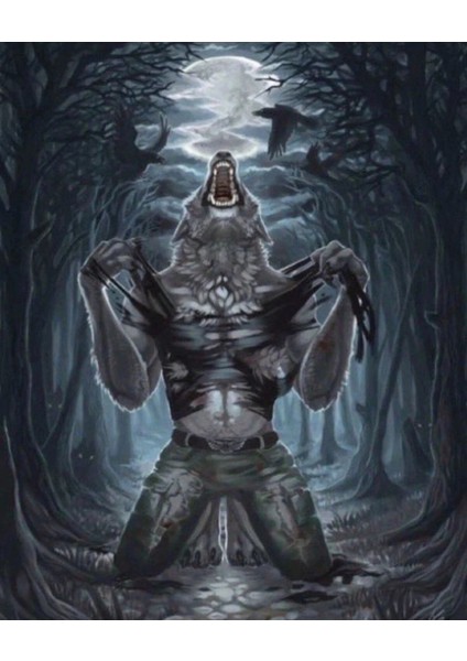 Kurt Adam Kapı Direk Kaplama Folyosu Baskılı Sticker Sağ-Sol 2 Adet 22*50 cm