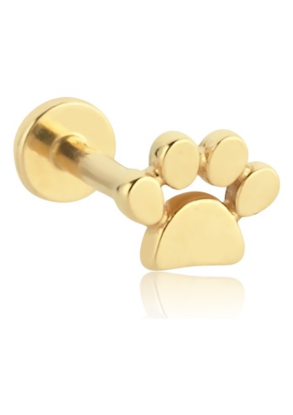 Simple Pati Tragus Piercing