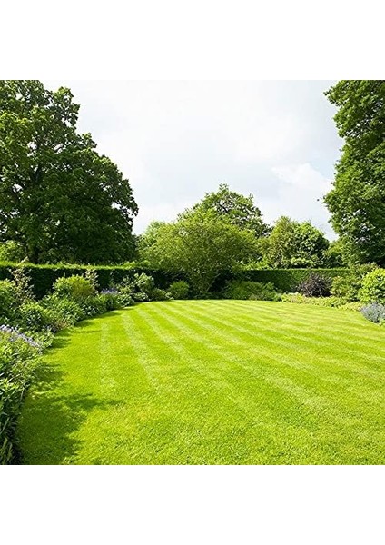 Star Karışım Ithal Çim Tohumu - 5 kg + Çim Gübresi - 5 kg fiyatları