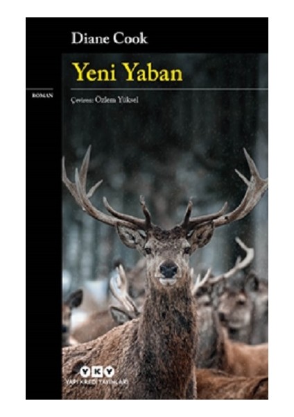 Yeni Yaban