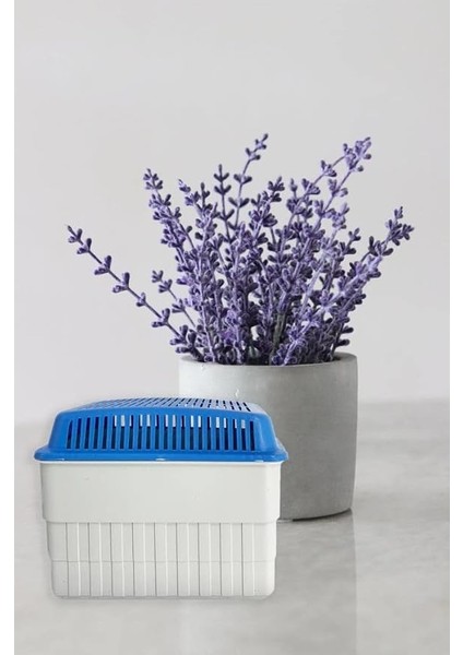 1 Kg. Dikdörtgen Nem Alıcı Aparat Lavanta Kokulu (1 Kg. Yedek Tablet)