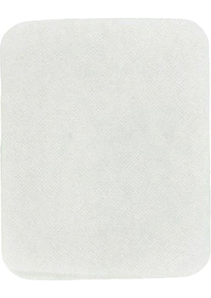 Uyumlu Powerpro Active Fc 8475 8478 8670 9323 9320 9540 Elektrikli Süpürge Hepa Filtre Set