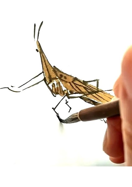 Tahrir Fırçası Kurt Kılı No:2-Çini, Seramik, Tezhip, Minyatür, Brush, Ekstra Ince-1 Adet fiyatları