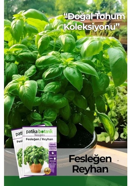 Botanik 100 Adet Yeşil Fesleğen - Yeşil Reyhan (Ocimum Basilicum) Tohumu