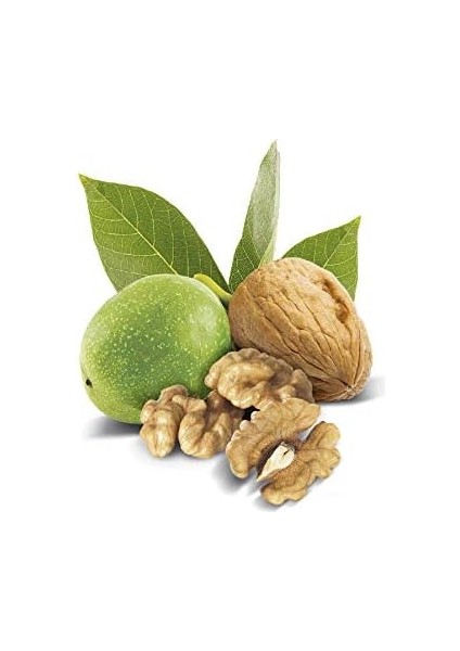 Malatya Pazarı Ceviz IÇI,150 gr fiyatları