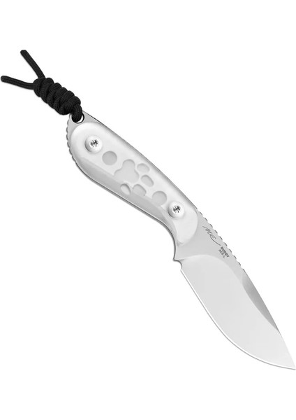 Buddy | Aeb-L | Acrylic |1081A4 modelleri