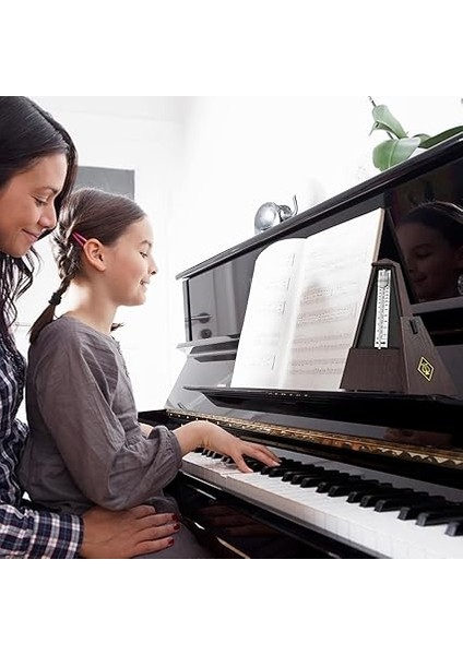 Dpm-1 Müzisyen Plastik Ahşap Için Mekanik Metronom fiyatları