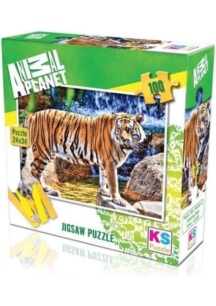 Puzzle 100 Parça Animal Planet Bengal Kaplanı