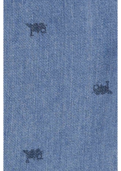 Küçük Erkek Çocuk Salopet modelleri