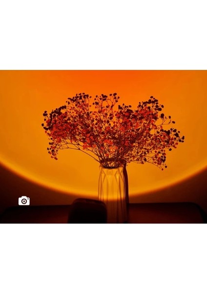 Gün Batımı Lambalı Hava Nemlendiricisi indirimleri