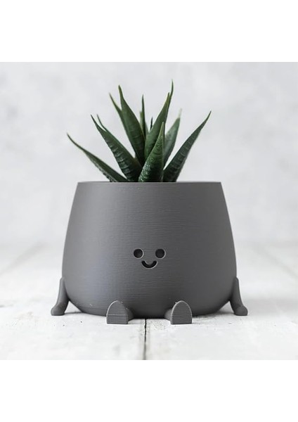 Tombul Oturan Gülen Yüz Saksı Bioplastik Güler Yüzlü Sukulent Saksısı (Antrasit, Büyük) indirimleri