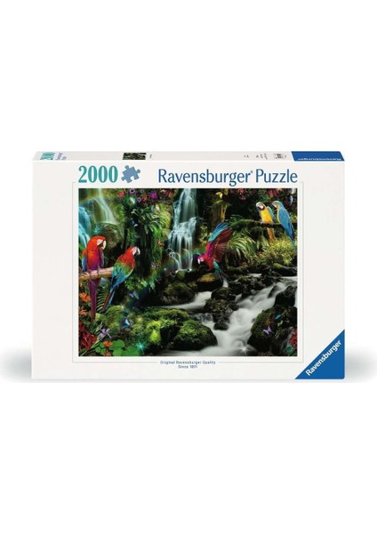 2000 Parçalı Puzzle Renkli