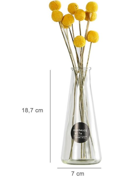 Şeffaf Simple Vazo fiyatları