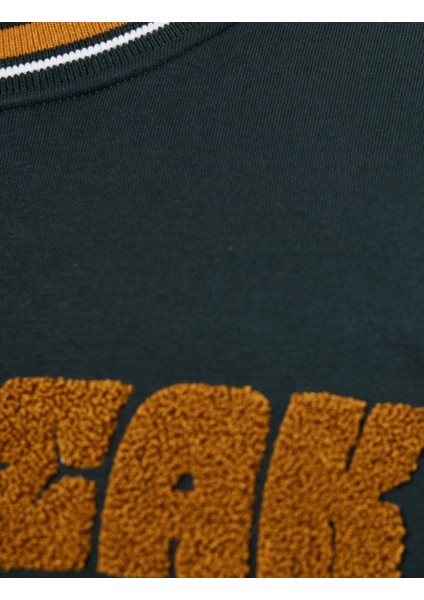 Uzun Kollu Şerit Detaylı Bisiklet Yaka Nakışlı Sweatshirt