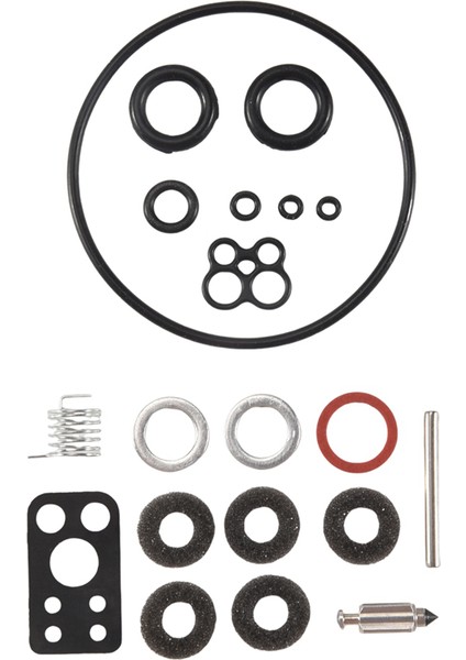 Briggs & Stratton 797890 792455 499811 Için Karbüratör Revizyon Kiti (Yurt Dışından) fırsatları