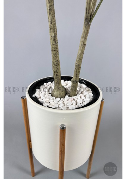 Yapay Manolya Ağacı 175CM modelleri