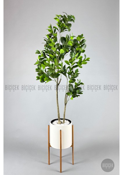 Yapay Manolya Ağacı 175CM fırsatları