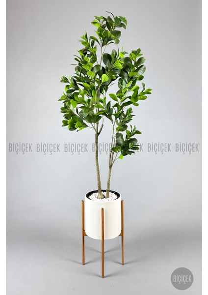 Yapay Manolya Ağacı 175CM indirimleri