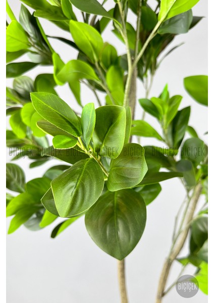 Yapay Manolya Ağacı 175CM