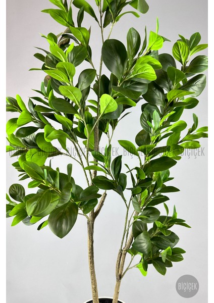 Yapay Manolya Ağacı 175CM