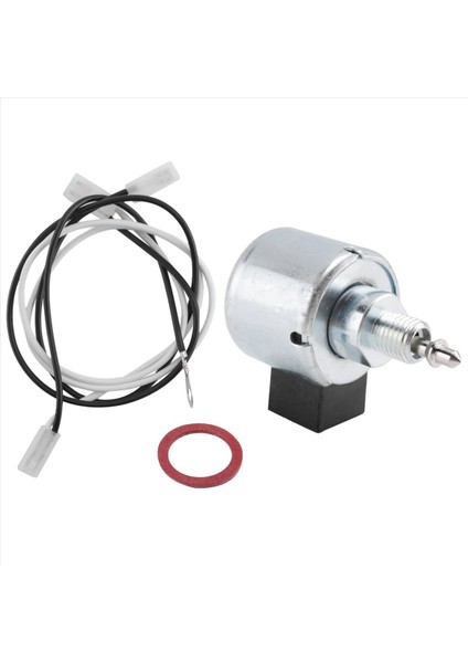Briggs & Stratton Karbüratör Yakıt Kesme Solenoidi Değişimi (Yurt Dışından)