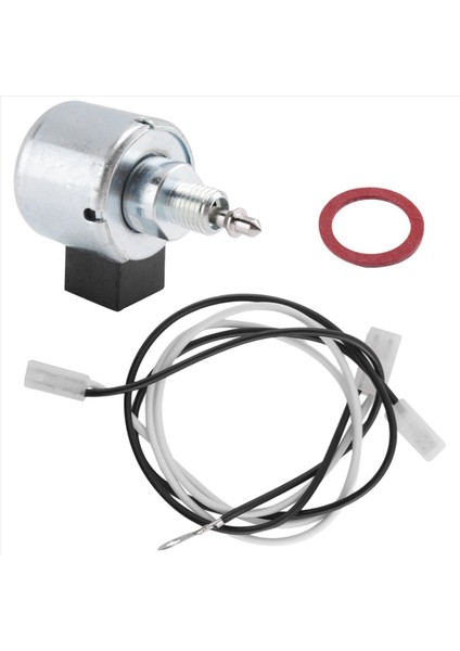 Briggs & Stratton Karbüratör Yakıt Kesme Solenoidi Değişimi (Yurt Dışından) fiyatları