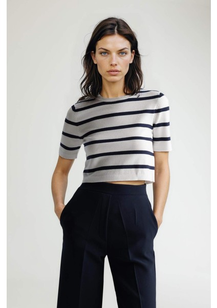 Fitted Bisiklet Yaka Çizgili Kısa Kollu Triko Tişört C2042AX25SP modelleri