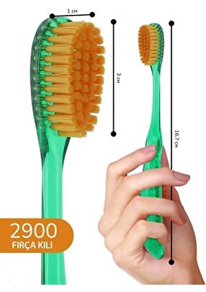 Junior Orman Meyveli Diş Macunu ve Diş Fırçası Seti 6-12 Yaş İçin Doğal İçerik fırsatları