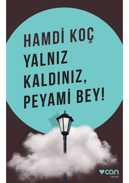Yalnız Kaldınız, Peyami Bey!
