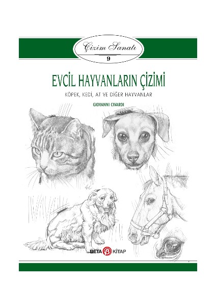 Evcil Hayvanların Çizimi - Çizim Sanatı 9
