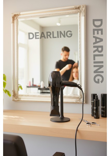 4200 Profesyonel Saç Kurutma Makinesi modelleri