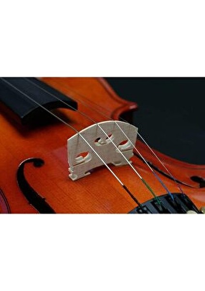 1018/A Standart Keman 4/4 Ahşap Yapı ile Müzik Tutkunları için Tasarlandı fırsatları