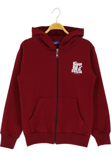 Erkek Çocuk Hırka 2 Iplik Şordonlu Baskılı Kapüşonlu fiyatları