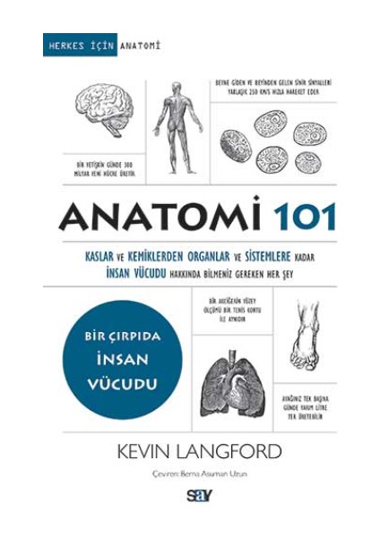 Anatomi 101 - Kaslar ve Kemiklerden Organlar ve Sistemlere Kadar Insan Vücudu Hakkında Bilmeniz Gereken Her Şey