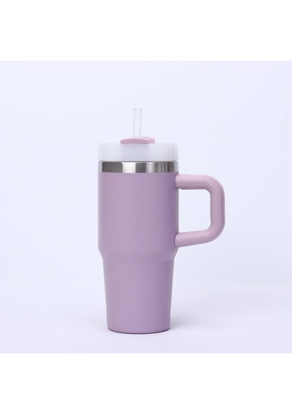 Mini 14OZ Paslanmaz Çelik Tumbler Yalıtım Kahve Kupası Su Şişesi Kupa Tatil Hediyeleri Için Saman Içi Vakum Şişeleri Kupa Kapasite: 14OZ/RENK: Mor (Yurt Dışından)