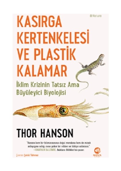 Kasırga Kertenkelesi ve Plastik Kalamar