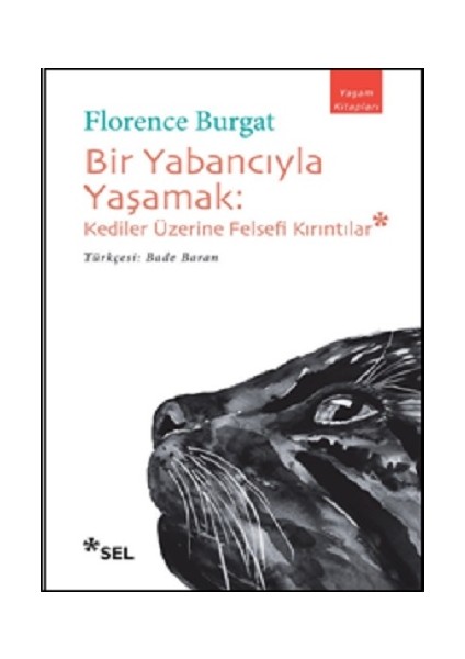 Bir Yabancıyla Yaşamak