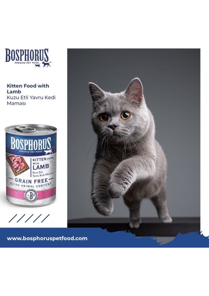 Kuzu Etli Küçük Taneli Yavru Kedi Konserve Maması 48 x 415 gr (Parça Etli) fiyatları