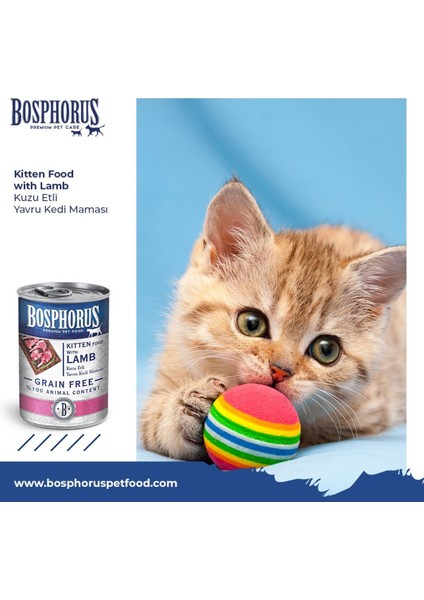 Kuzu Etli Küçük Taneli Yavru Kedi Konserve Maması 48 x 415 gr (Parça Etli) fırsatları