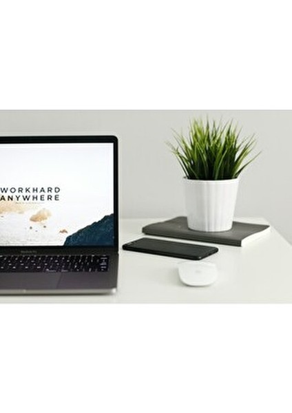 Windows 10 Pro Dijital Lisans Anahtarı Mor Renkli Seyyar Tekli Anahtar 1 Adet