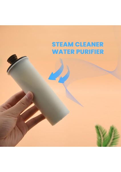 Karcher Sc2 Sc3 Temiz Su Kireç Çözücü Filtre Premium Dik 2 Adet (Yurt Dışından) indirimleri