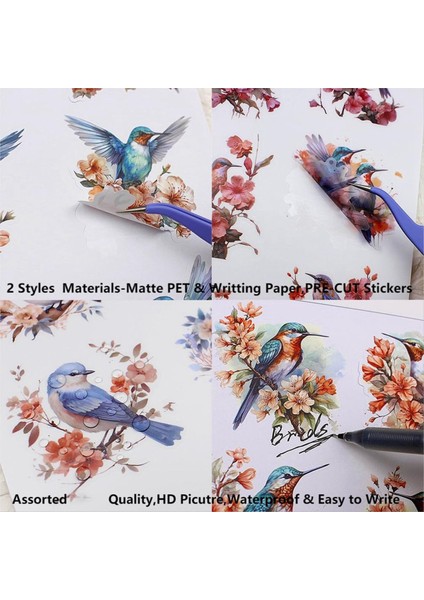 Günlük Tutmak Için Önceden Kesilmiş Çıkartma Defteri, 20 Yaprak, Kuşlar ve Çiçekler (Yurt Dışından) indirimleri