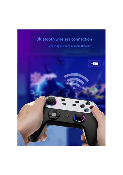 Nintendo Switch Switch Pro A Için Kontrolör Programlama Işlevi (Yurt Dışından) modelleri