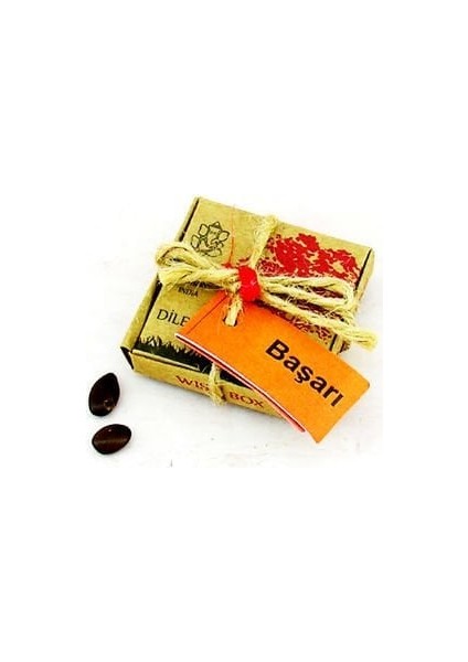 Dilek Tohumları - Başarı